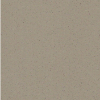 Dark Beige