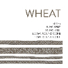 Wheat